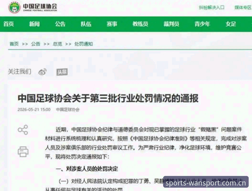 中国足协第三批禁足名单深度评测：65人处罚背后的行业整顿风暴